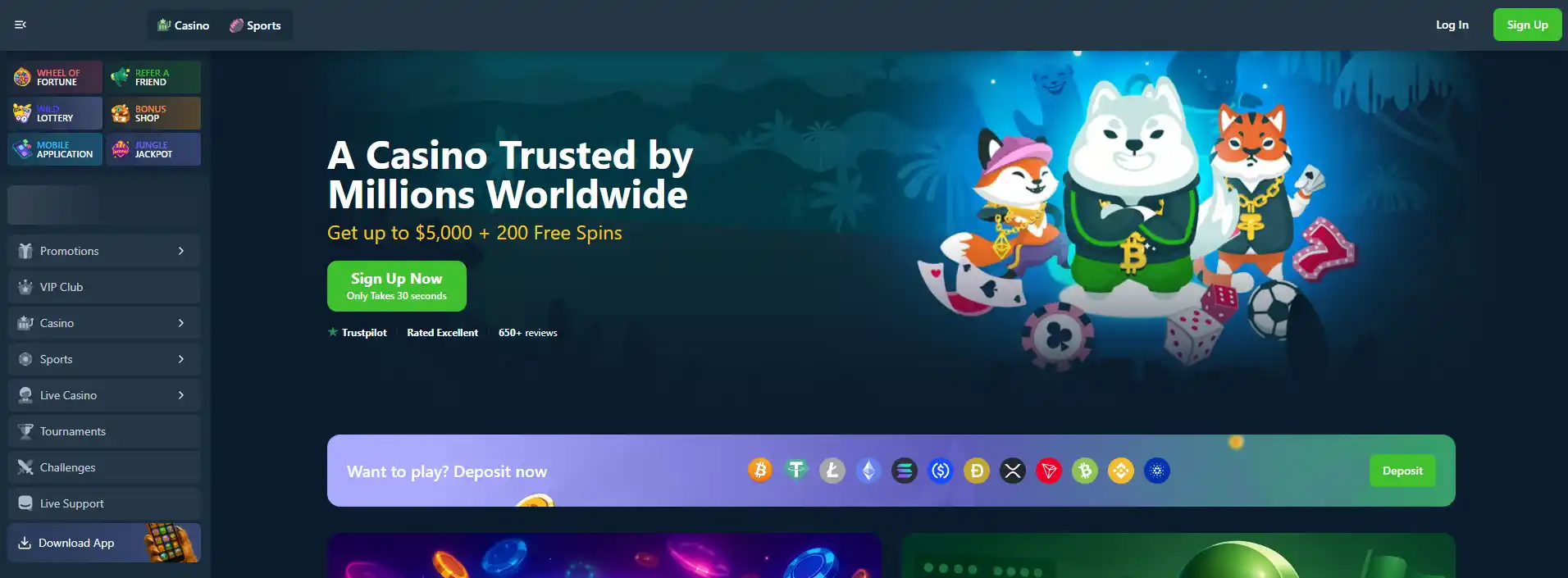 Wild.io homepage with brand identity and primary navigation